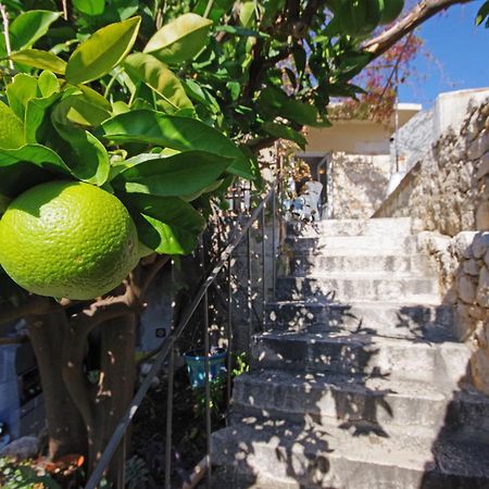Villa إيغراني المظهر الخارجي الصورة